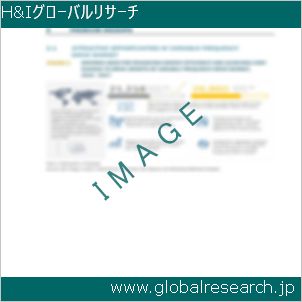 グローバルリサーチ調査レポートのイメージ